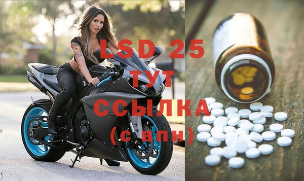 спайс Тавда