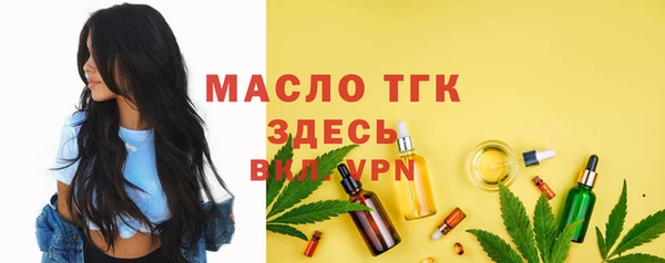 герыч Мегион