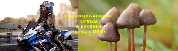COCAINE Горно-Алтайск