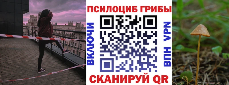 Галлюциногенные грибы Psilocybine cubensis  OMG сайт  Обь  наркошоп 